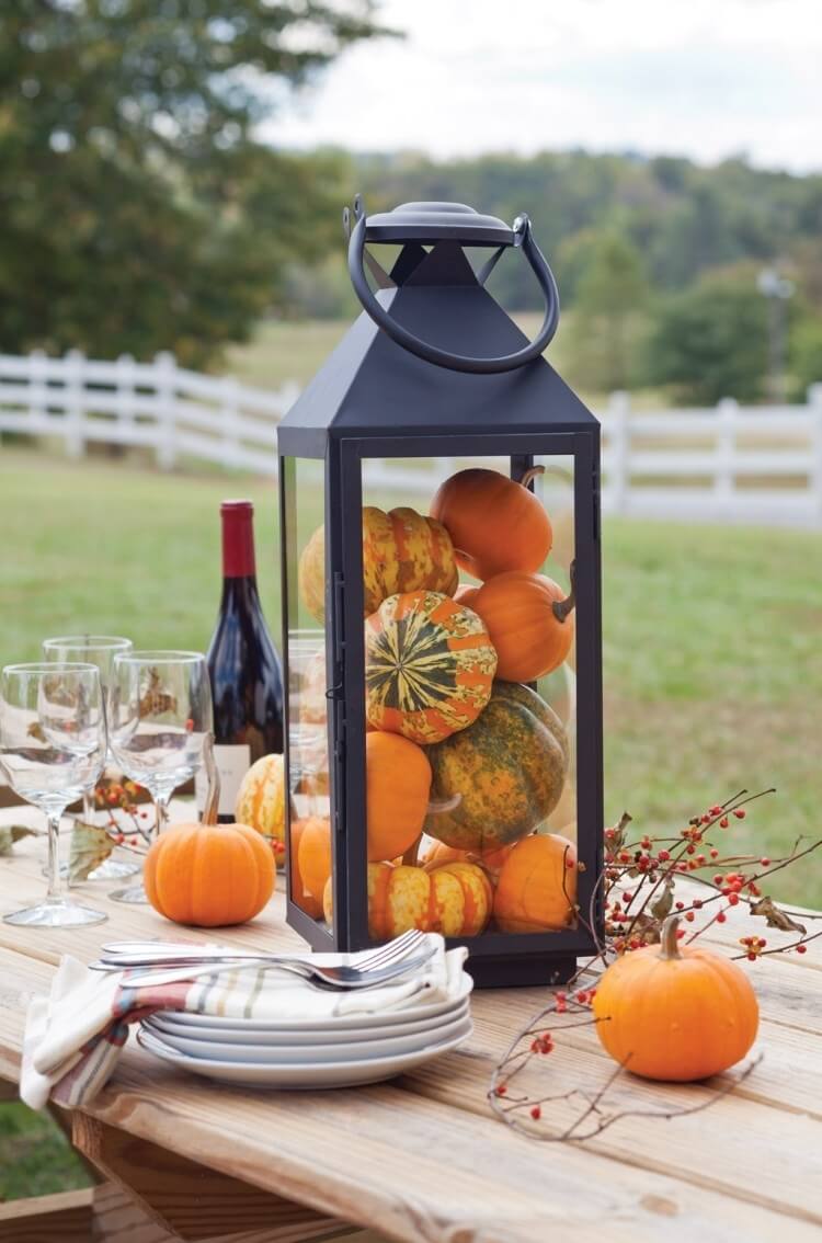 Picnic in the Pumpkin Patch Lantern