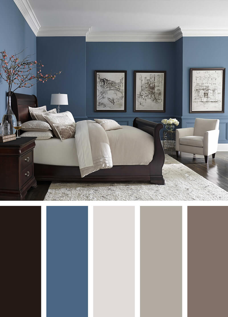 Blue Walls Dark Floors Bright Neutrals