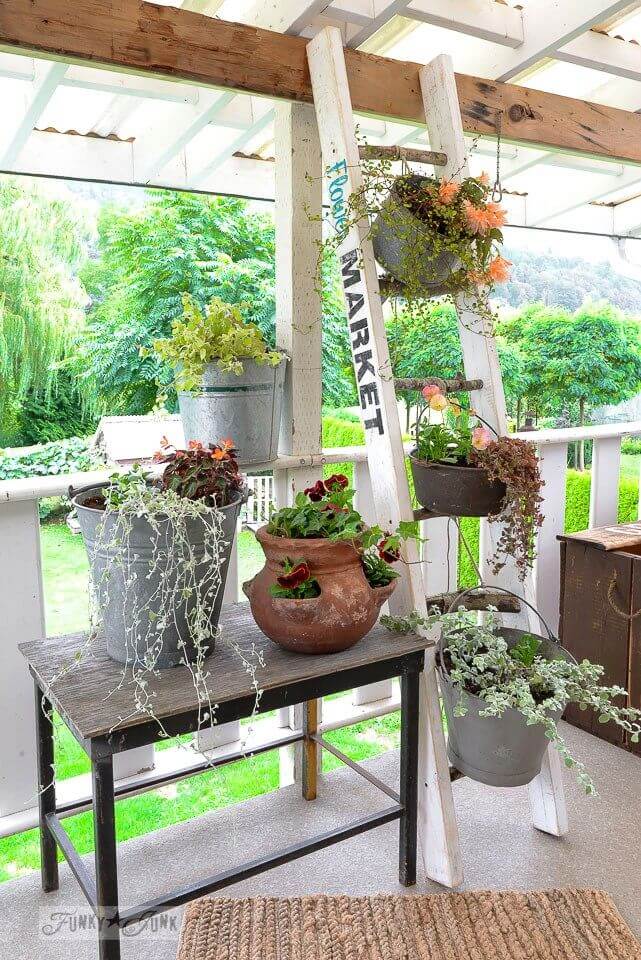 Rustic Potted Plant Porch Medley