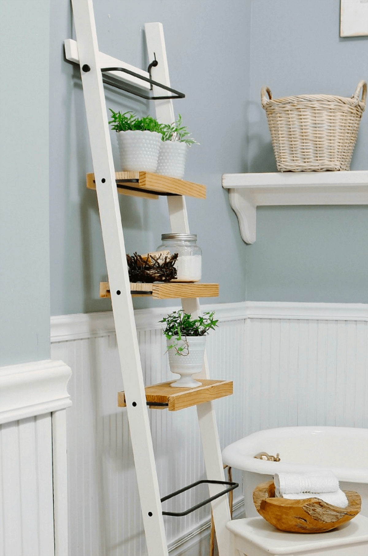 Ladder-Shelf Stand for Small Plants