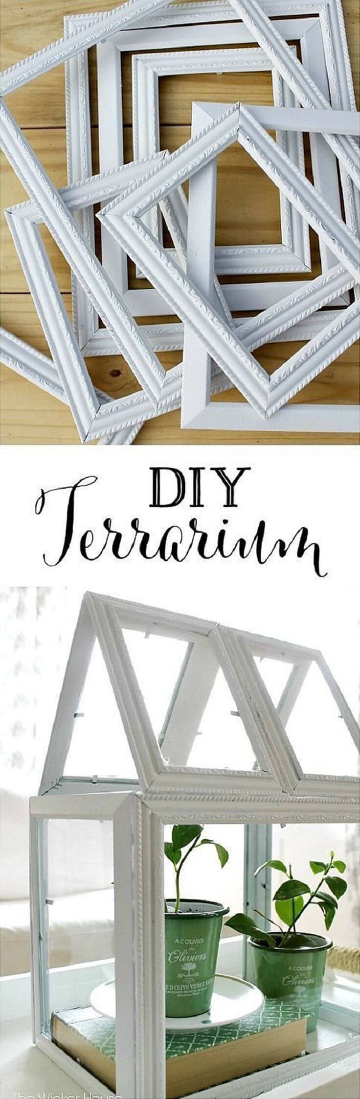 Build a Terrarium with Frames and Glue