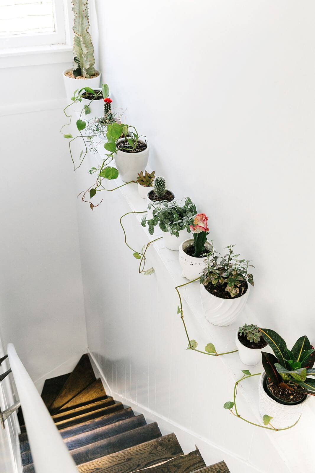 Smart Way to Squeeze in More Plants