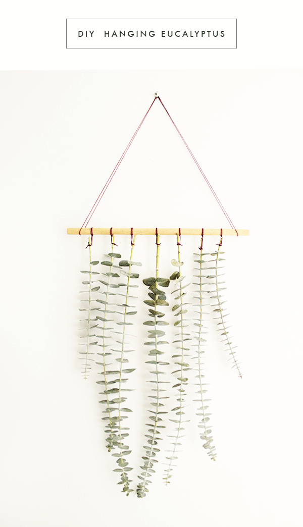 Delicate Wall Hanging with Greenery Leaves