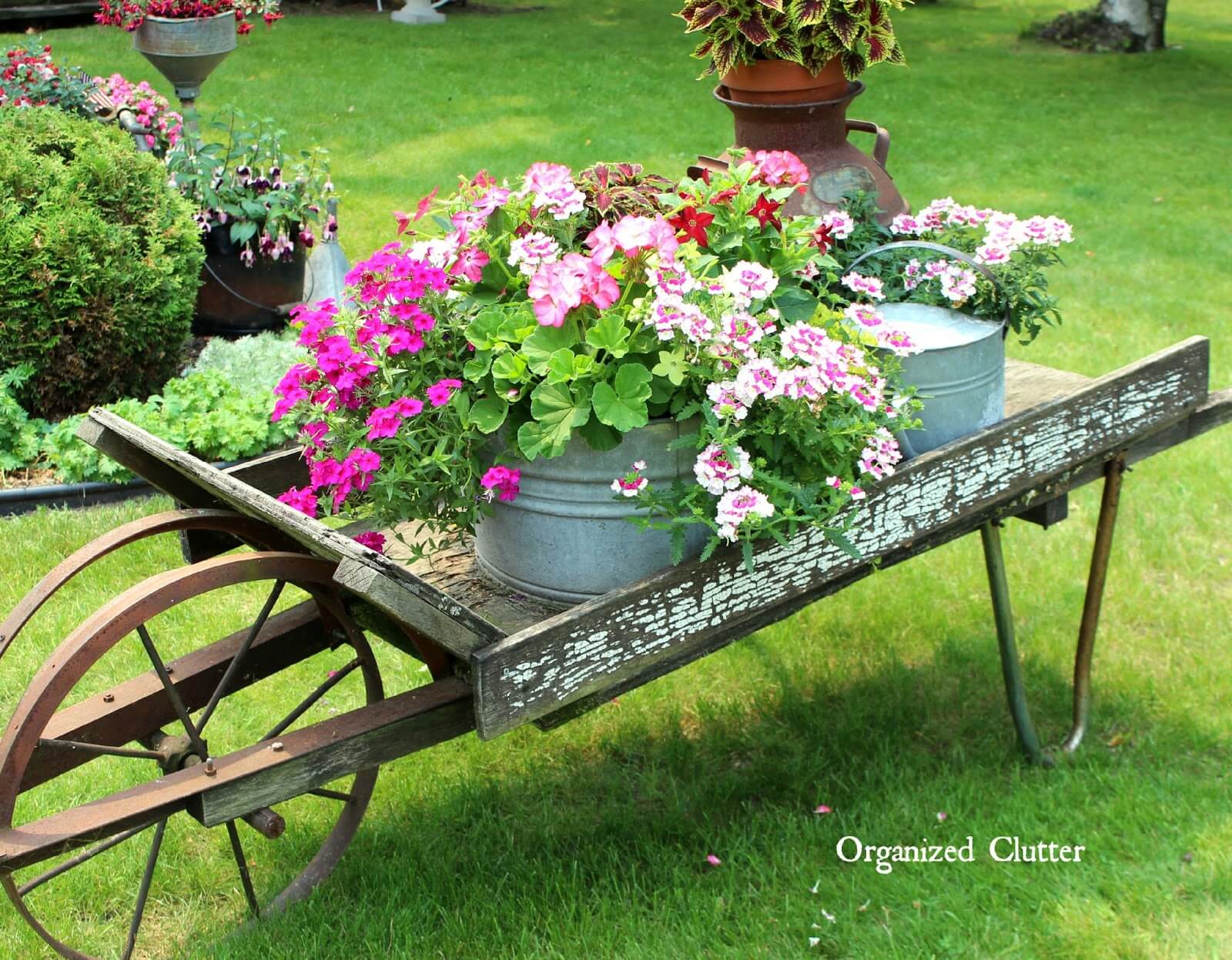 Wheelbarrow with Blooming Planters