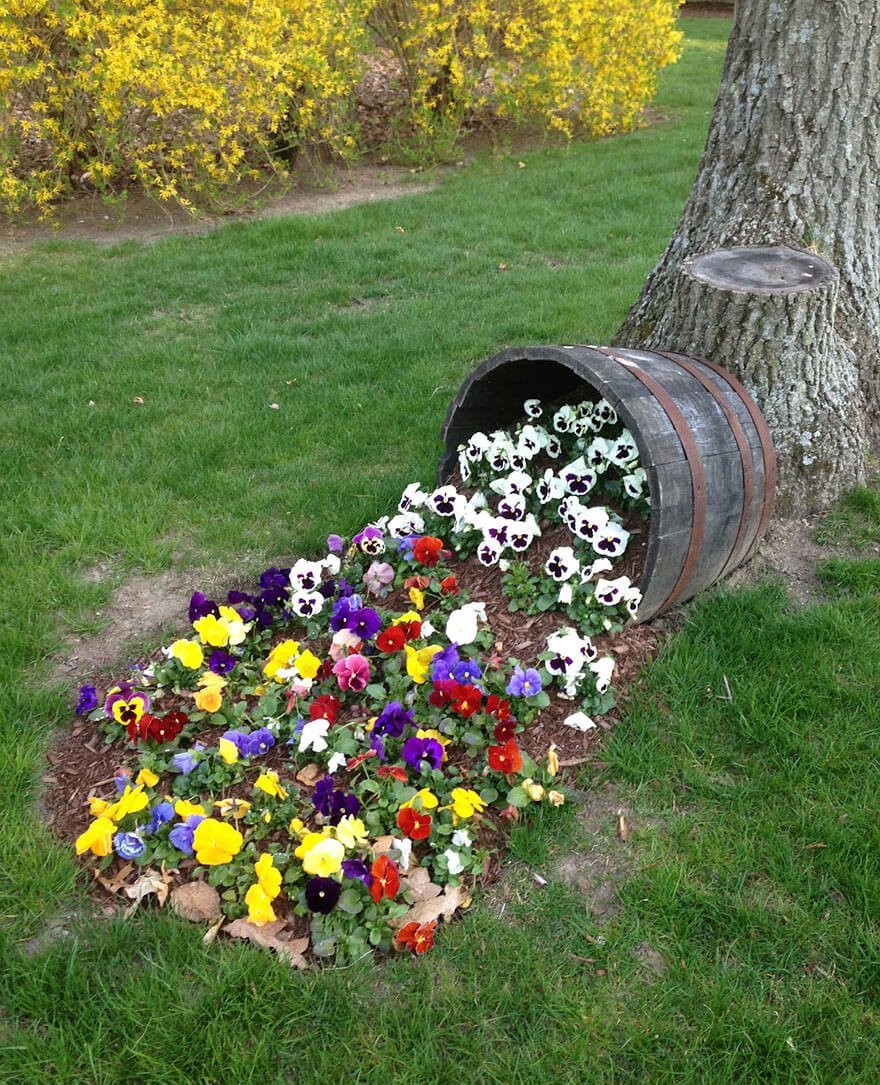 Rainbow of Pansies Tumbling Down