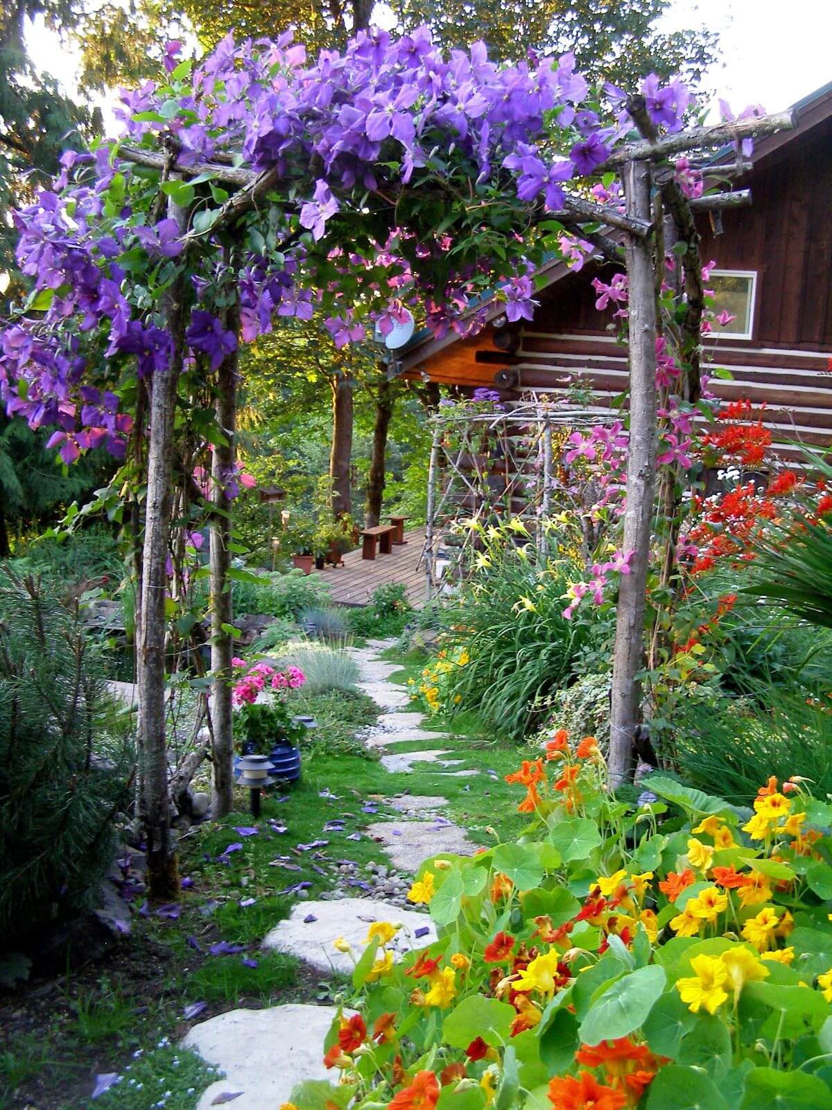 Dramatic Flowers Climbing on an Arbor