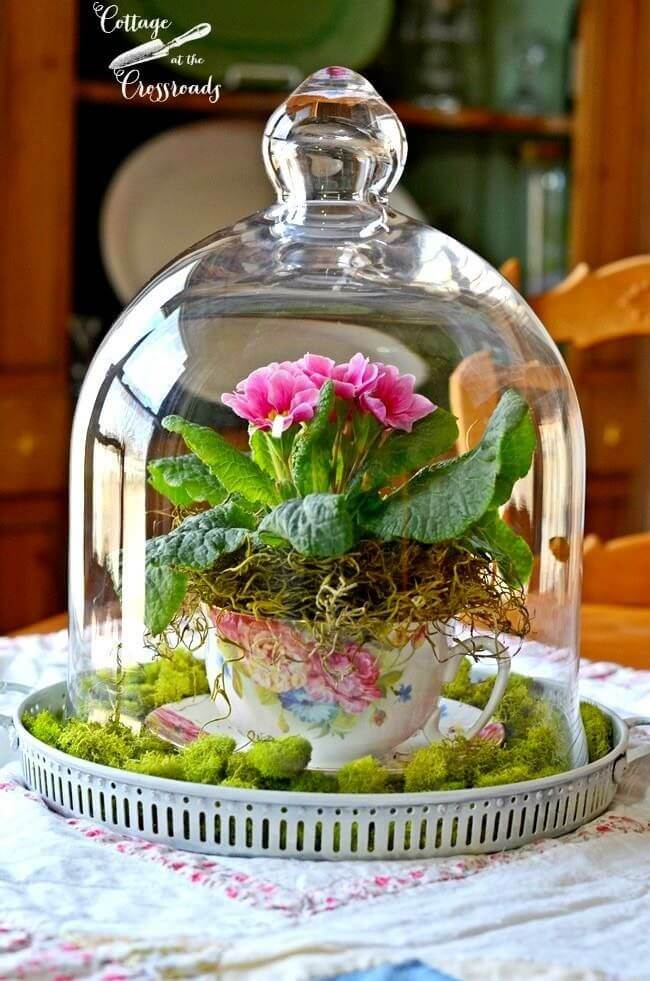 Flowers in a Teacup Under Glass