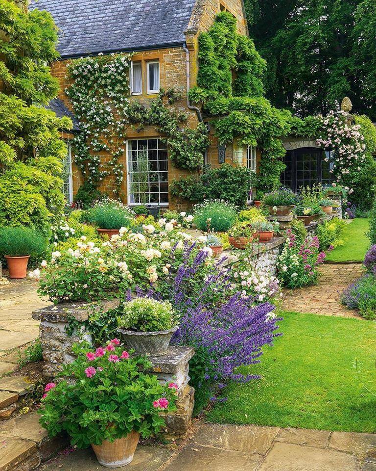 Old-Fashioned Flowers in Containers