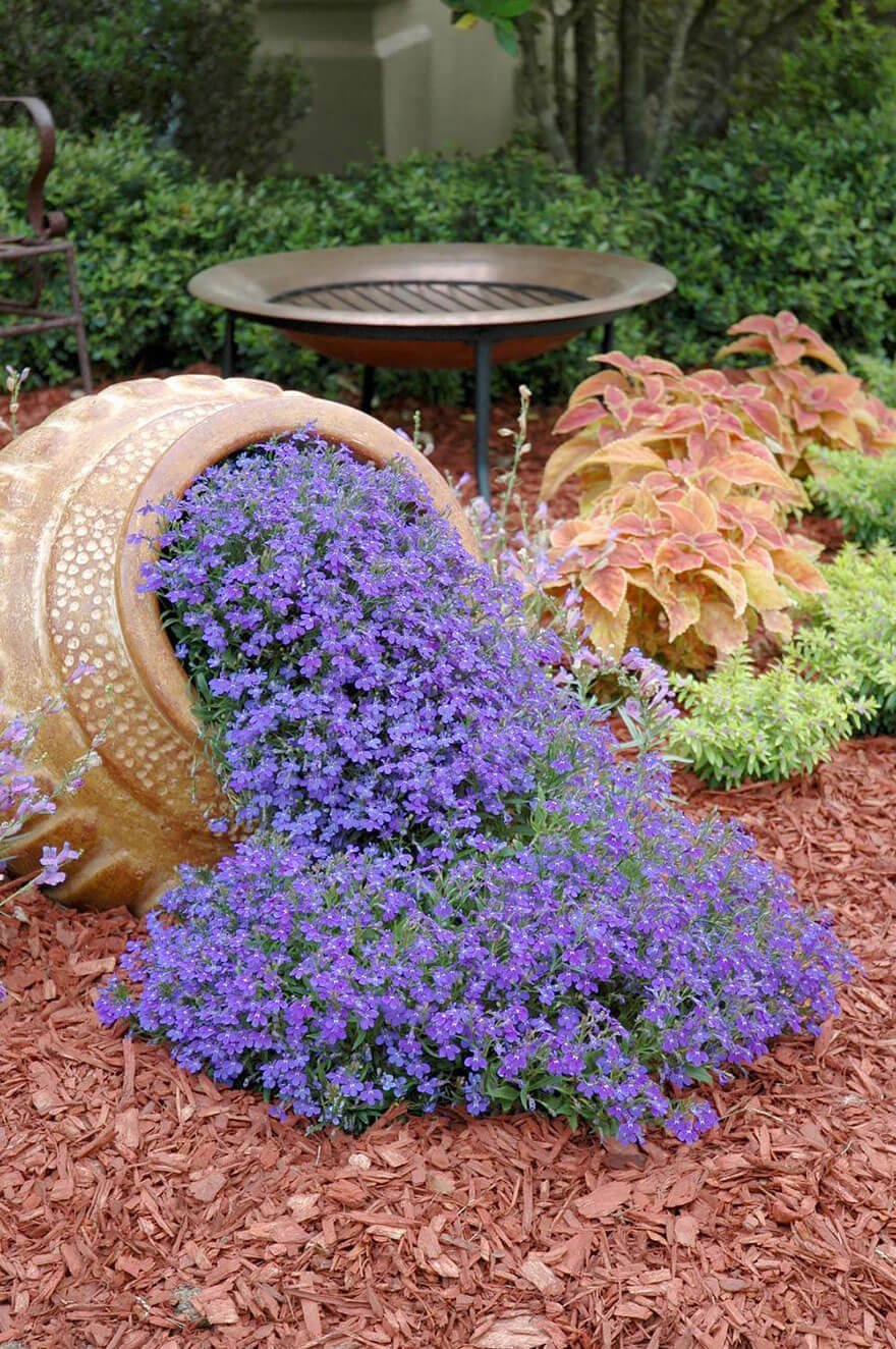 Simple Spilled Flowers on Mulch