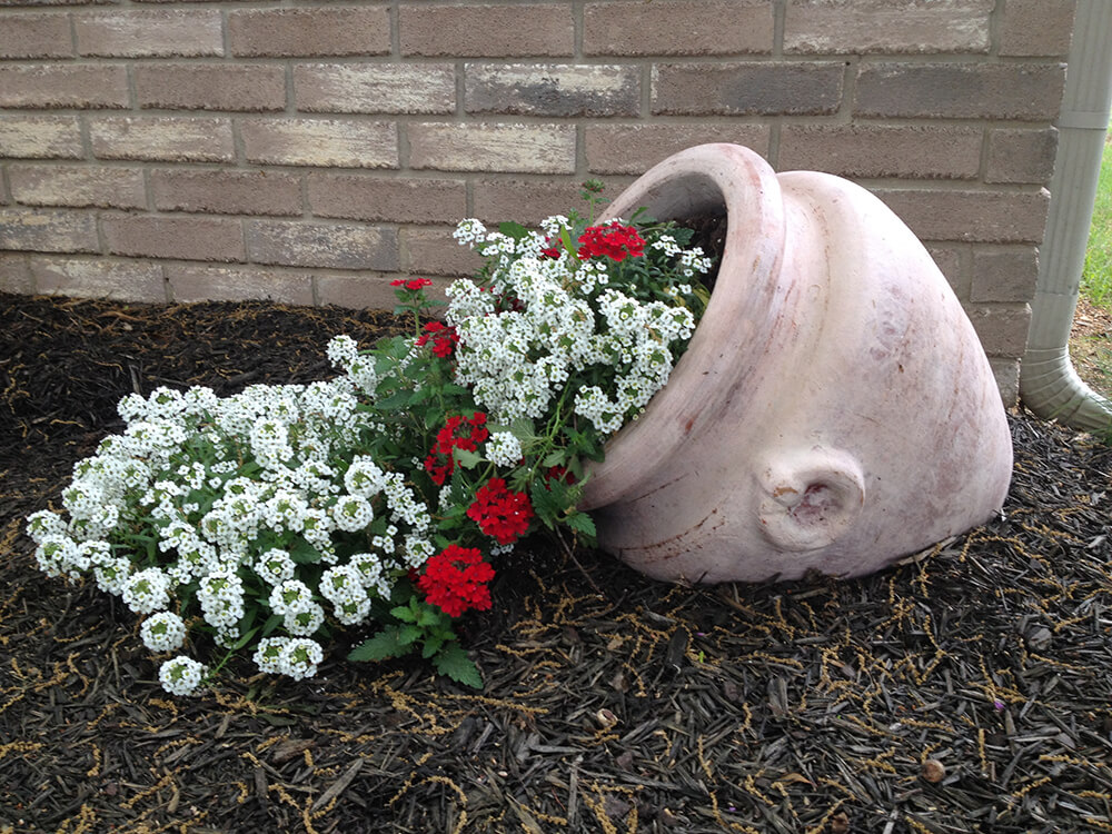 Lush Blooms Flowing from a Planter