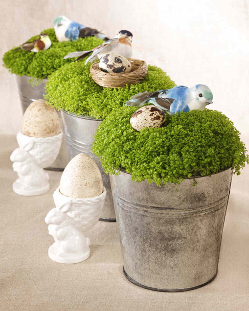 Pails with Adorable Birds and Nests