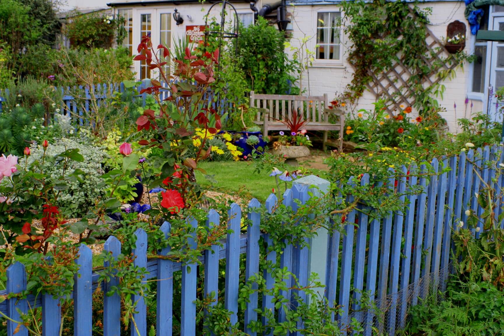 Bright Painted Fence with Rainbow Flowers