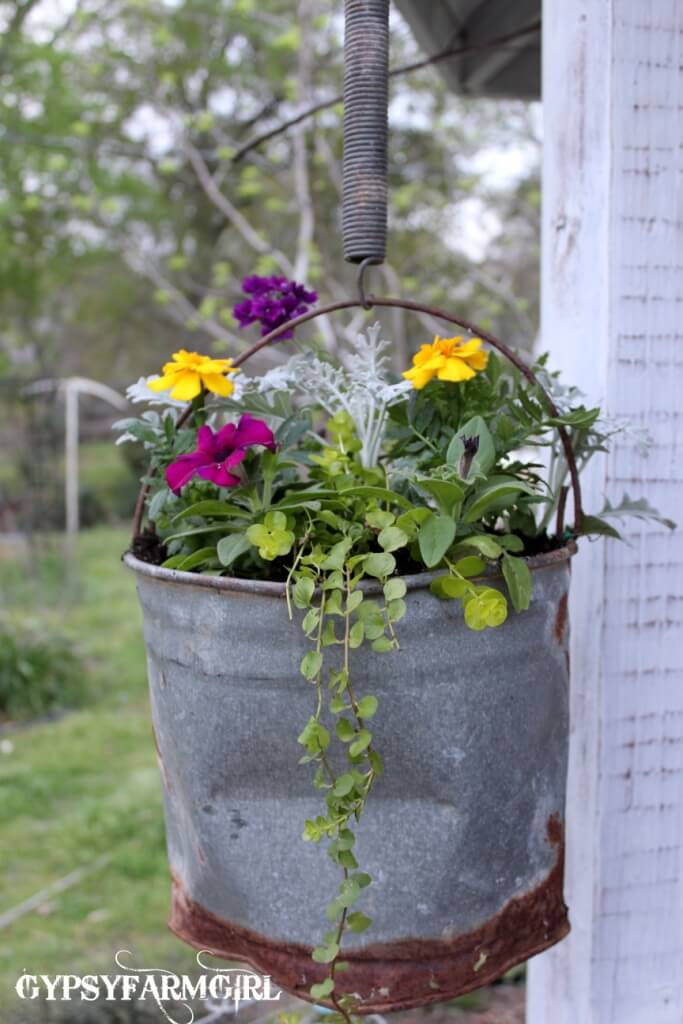 Pail Hung by an Old Spring