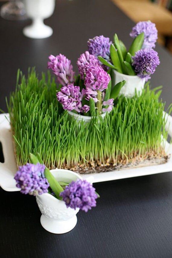 Grass Tray with Mini Hyacinths