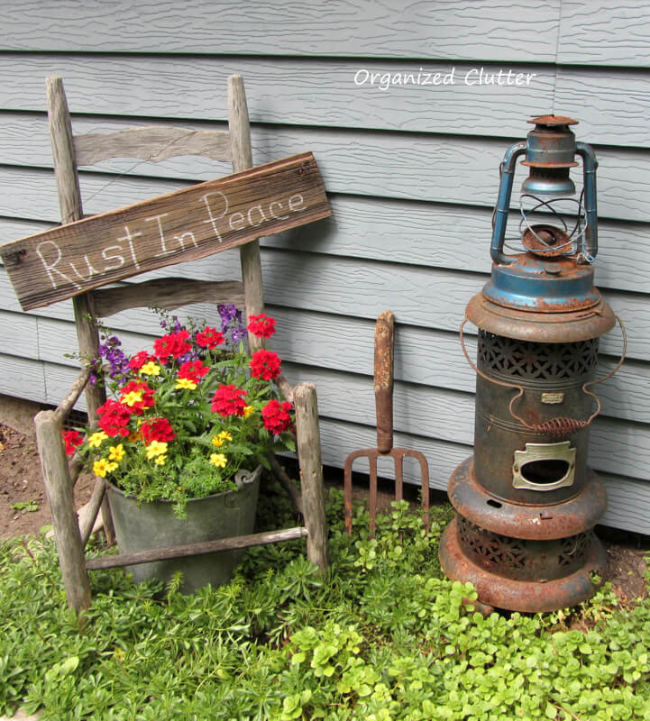 Aging Gracefully with Potted Geraniums