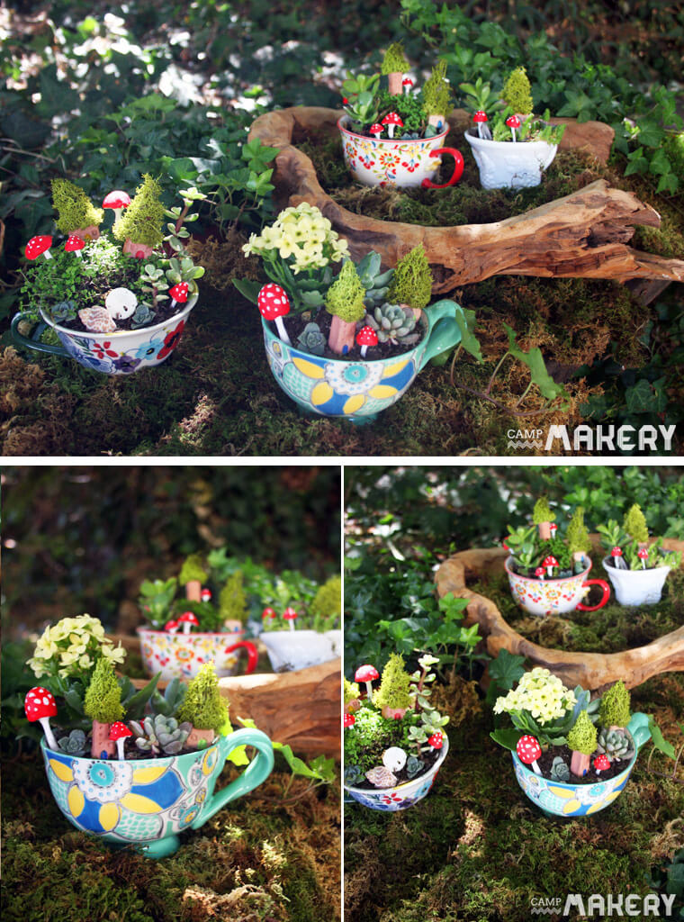 Succulents and Toadstools in Floral Ceramic Teacups