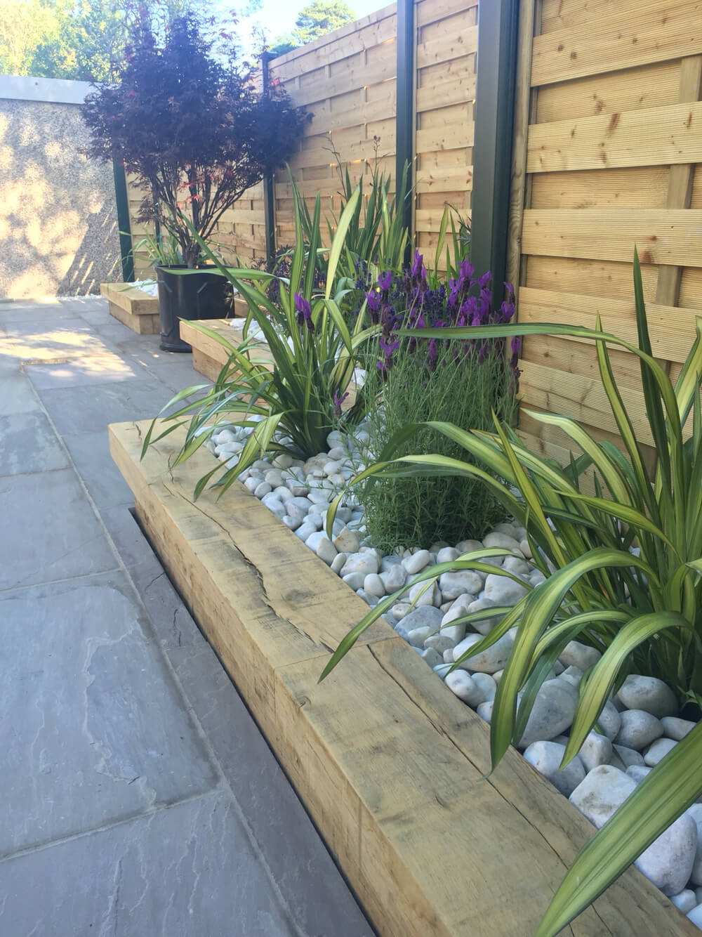 Wood Framed Low-Water Garden in Stone