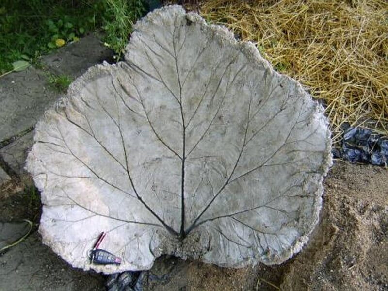 Make a Concrete Leaf Impression