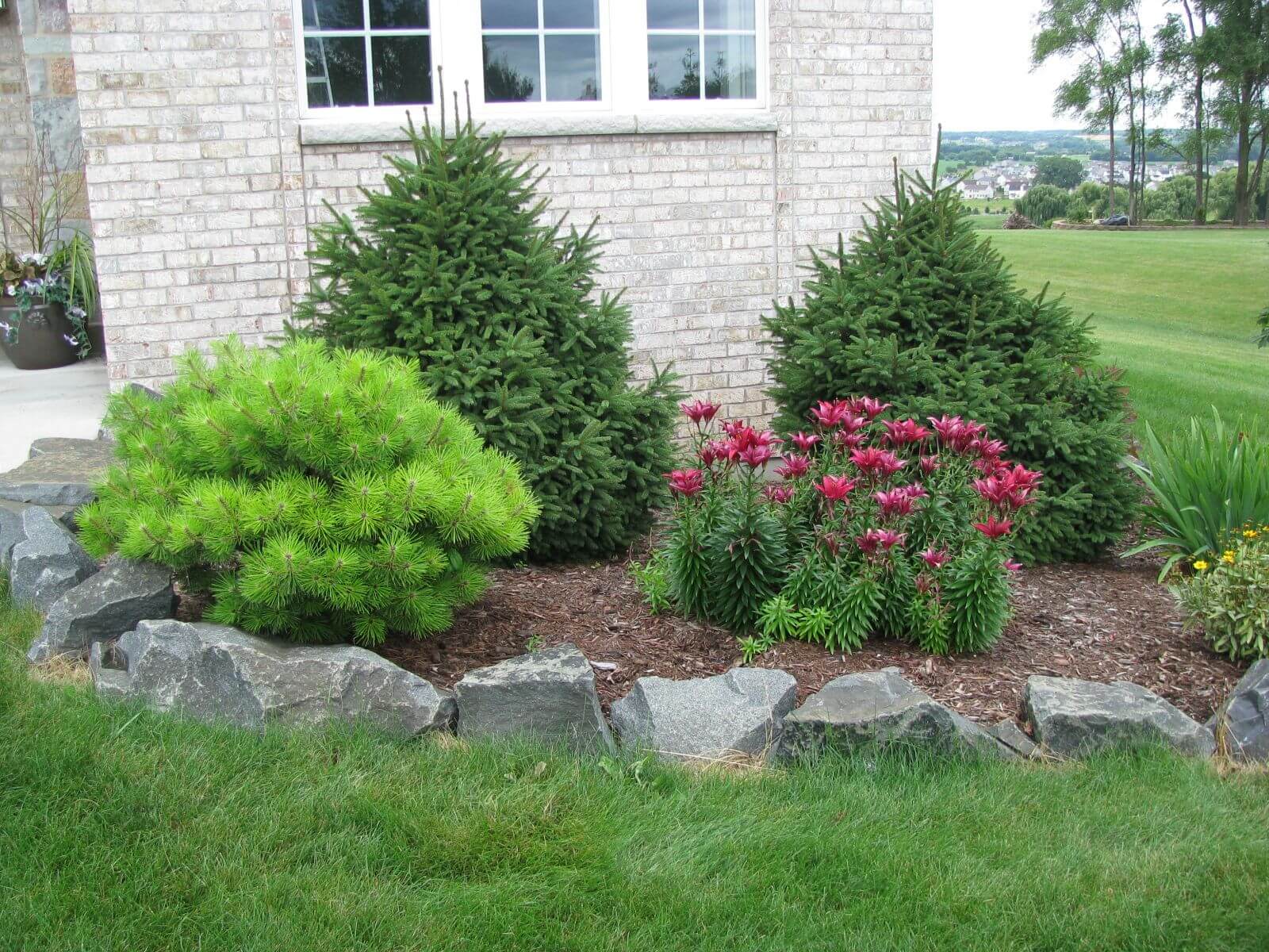 Bushes and Flowers with Natural Rock Edges