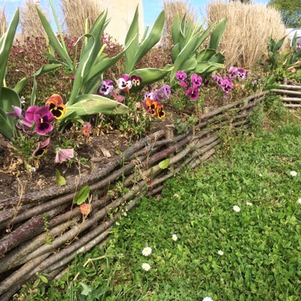 Raised Garden Set Into Woven Branch Fence