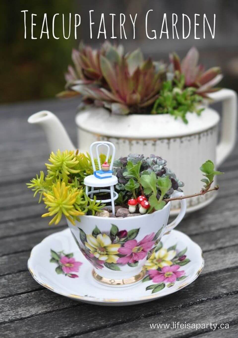 Succulent Fairy Garden Teacup Mini Garden Idea