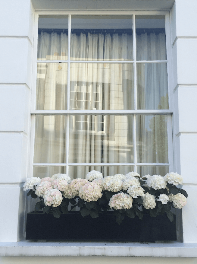 Modern Minimalist Black Flower Box