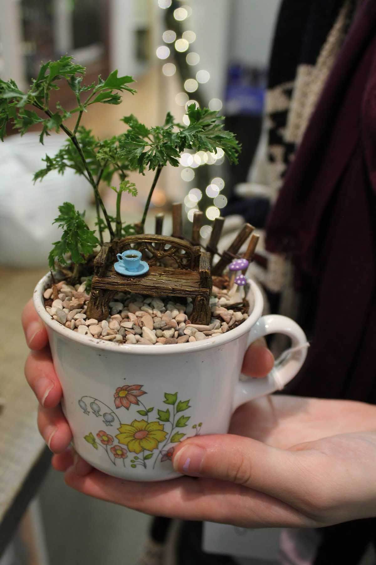 Coffee for Fairies under a Tree