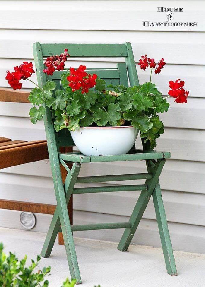 Simple Bowl of Geraniums on an Old Chair