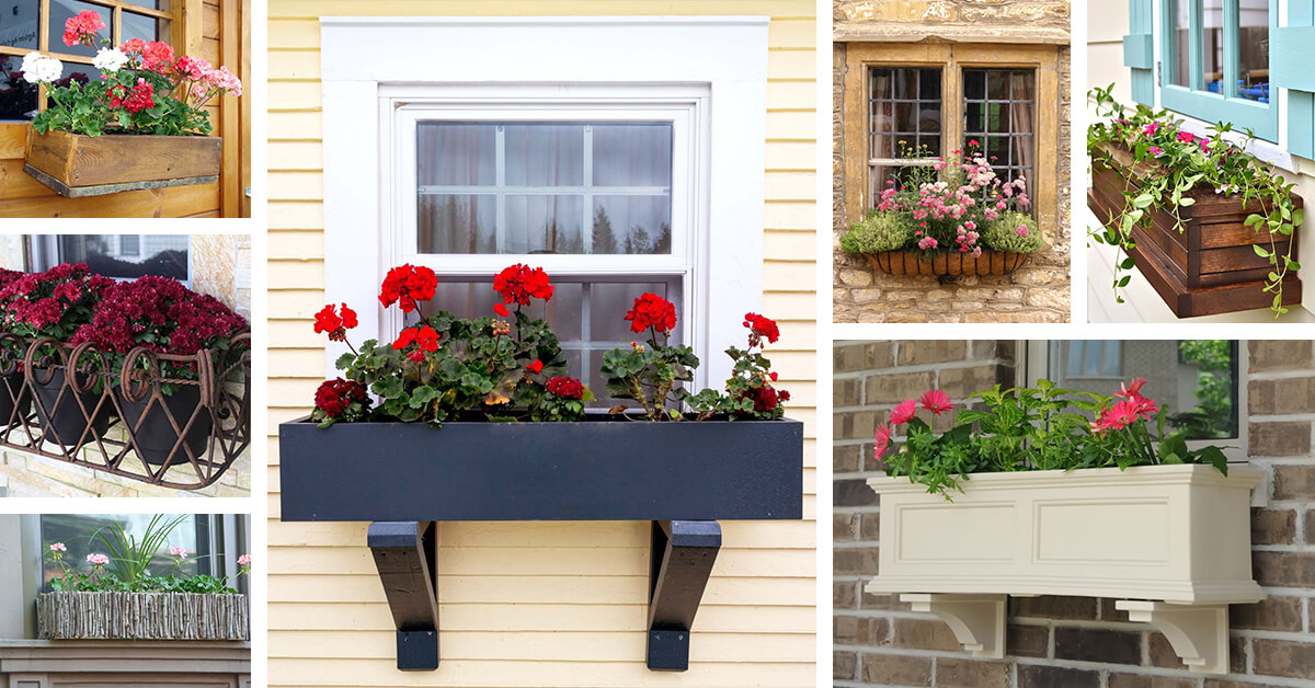 Featured image for 26 Window Box Planter Ideas to Brighten Up Your Home From the Inside Out