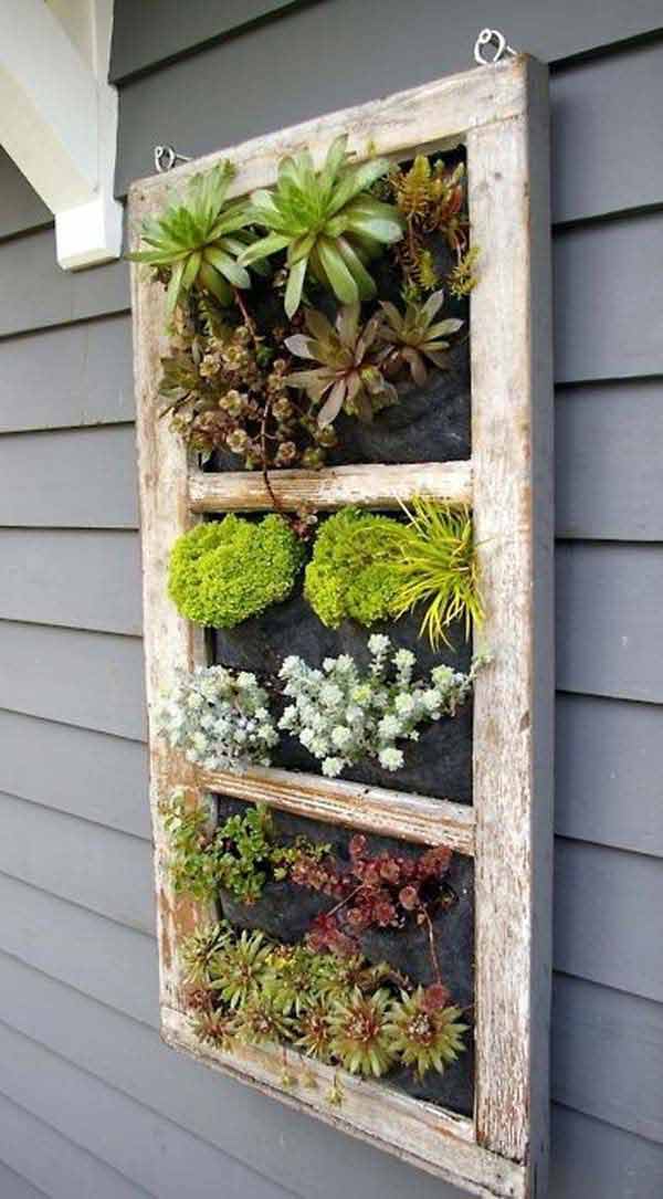 Wall Frame for Pretty Succulents