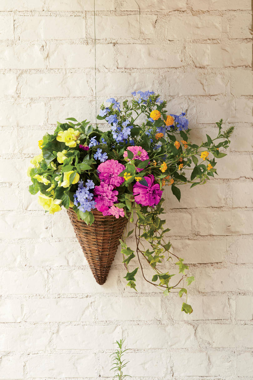 Artsy Hanging Potted Plants and Flowers