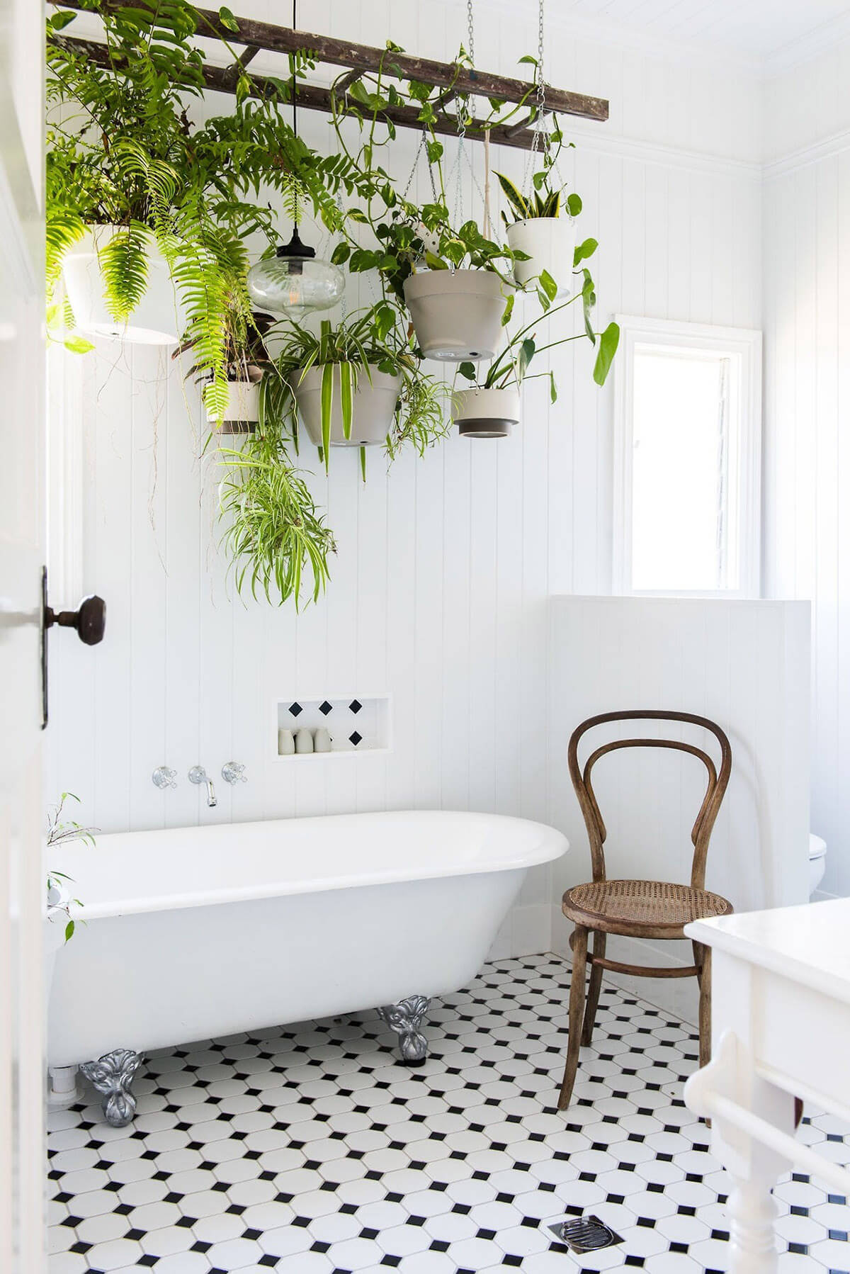 Ladder Plant Rack over the Bathtub