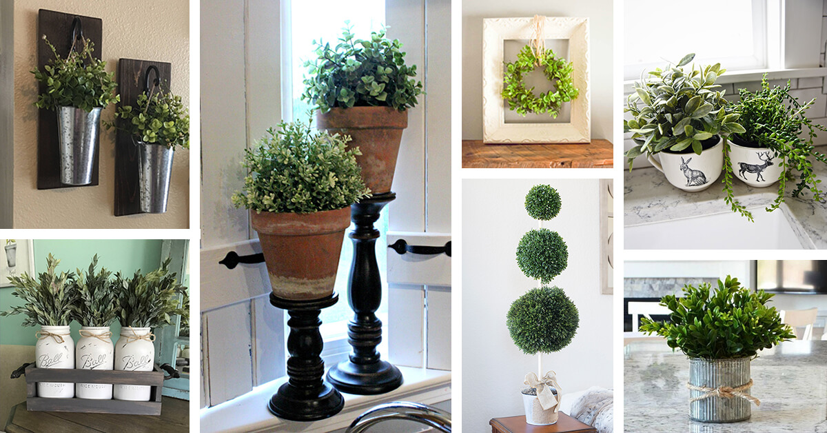 Featured image for “36 Lovely Farmhouse Plant Decor Ideas to Add a Touch of Nature to Your Interior”