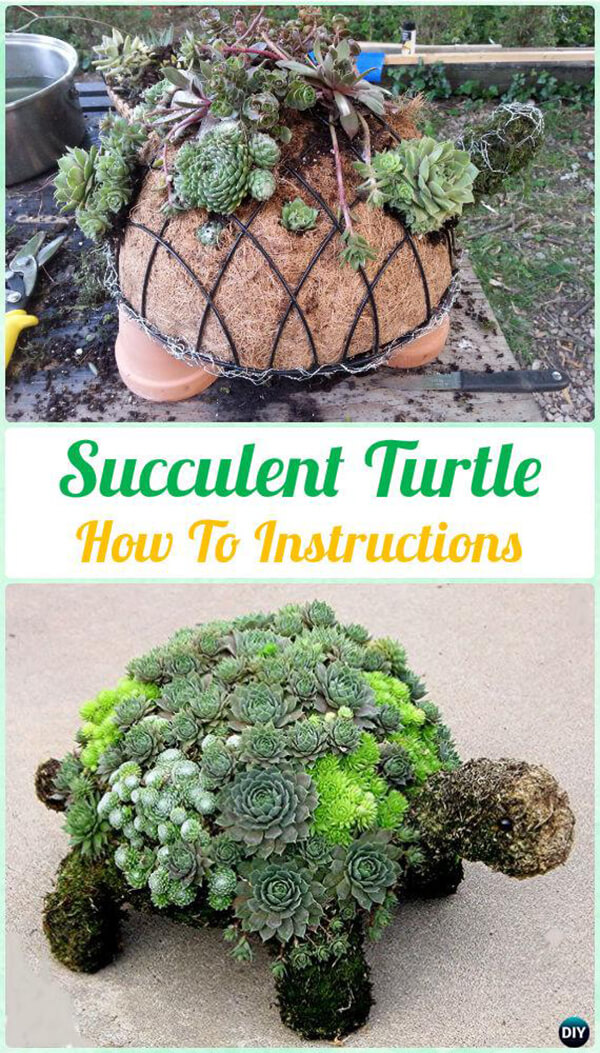 Create an Adorable Turtle Planter