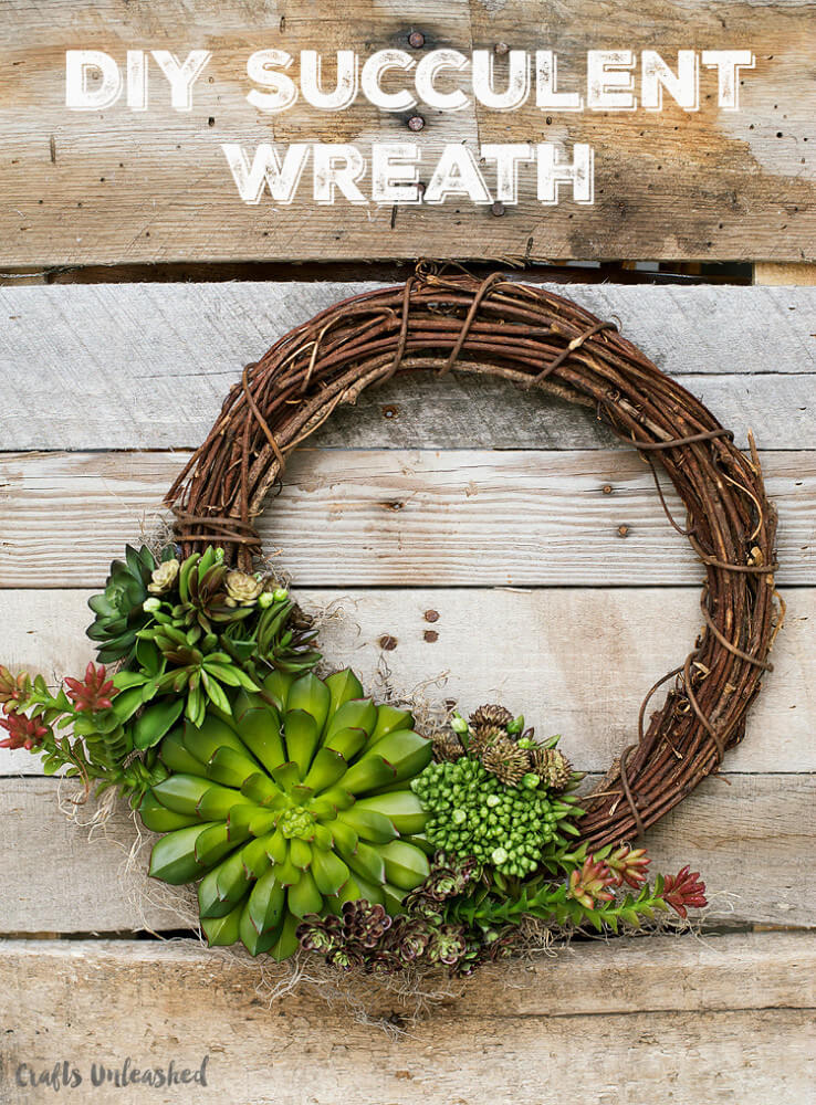 Beautiful Growing Succulents on a Wreath