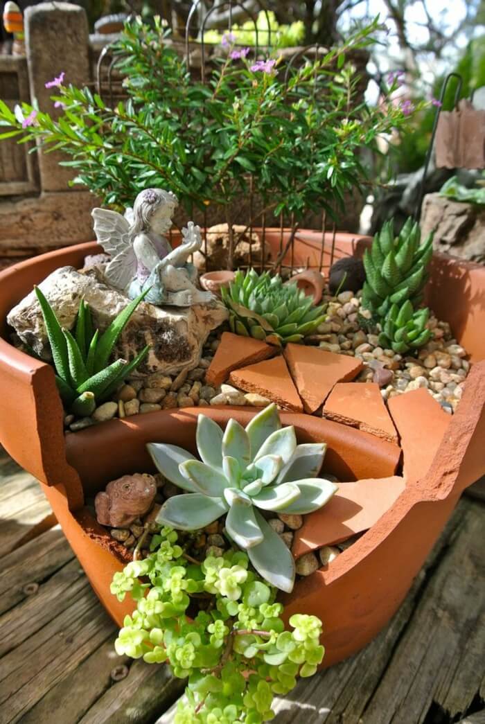 Fairy Garden with Lovely Succulents