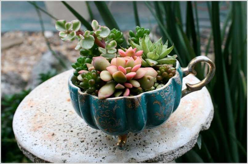 Succulents in an Old Footed Bowl