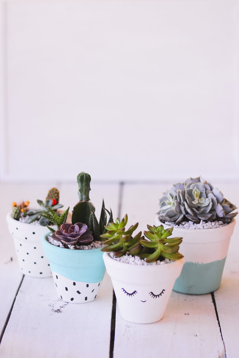 Sweet Painted Terra Cotta Pots with Succulents