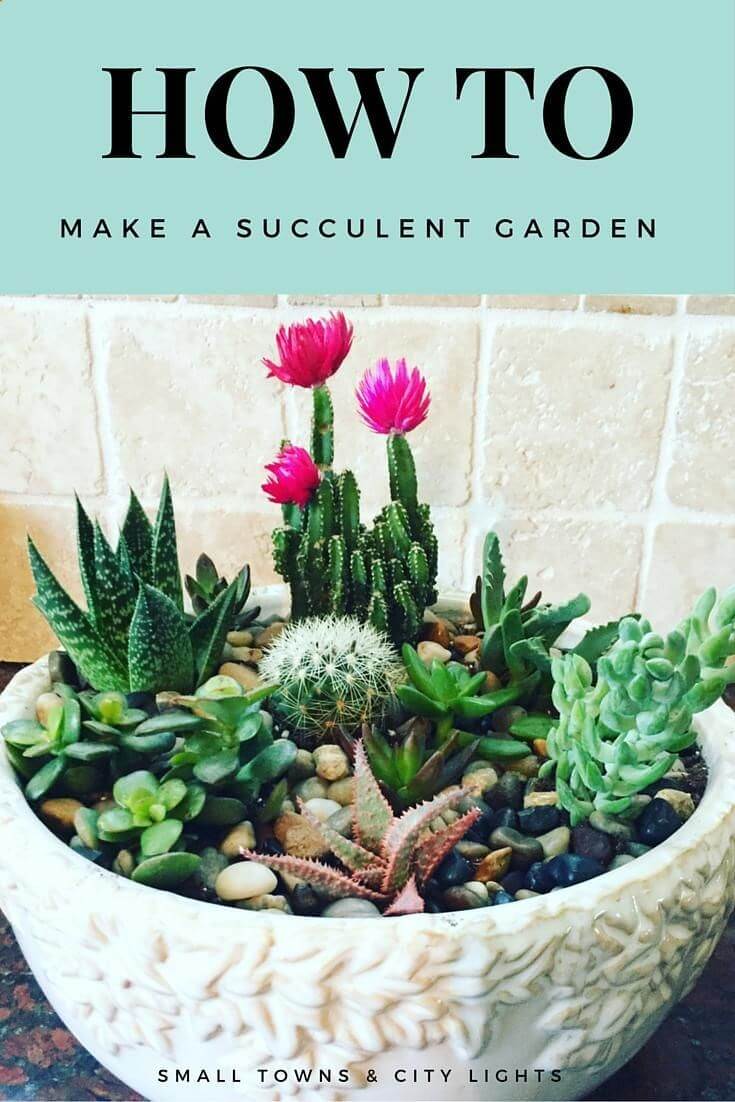 Delightful DIY Garden with Varying Plants