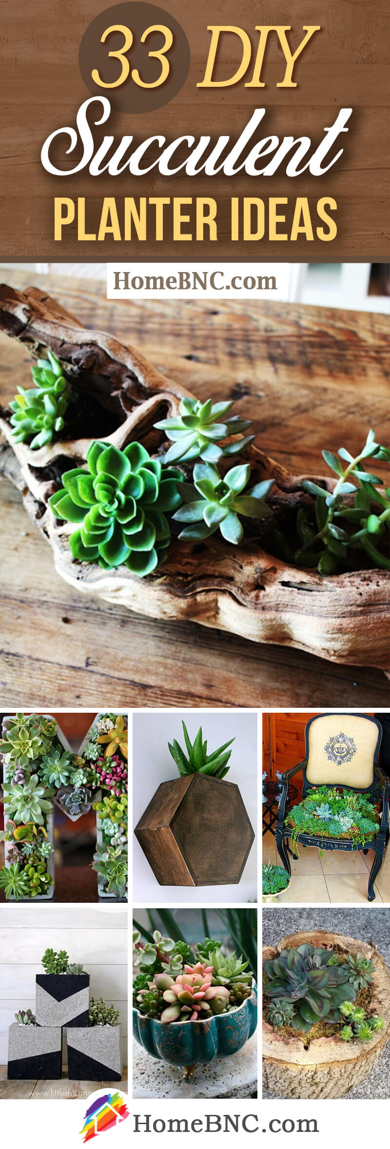 DIY Indoor And Outdoor Succulent Planter Ideas