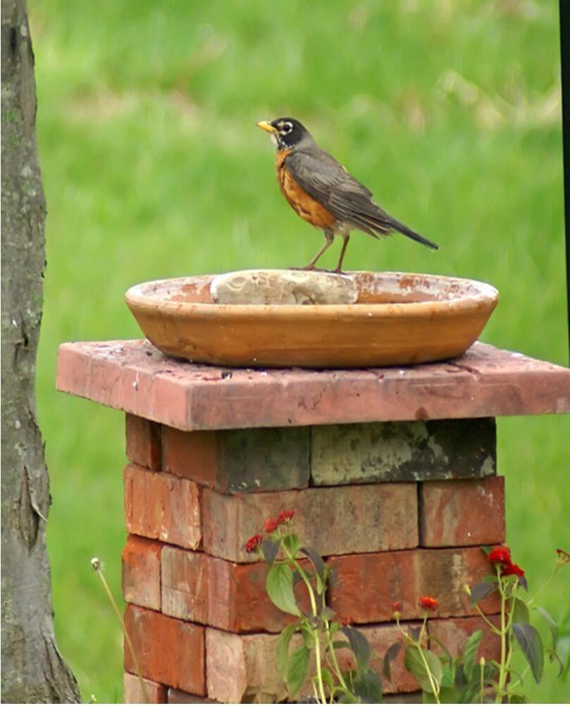 Stacked Brick Beautiful Bird Bath