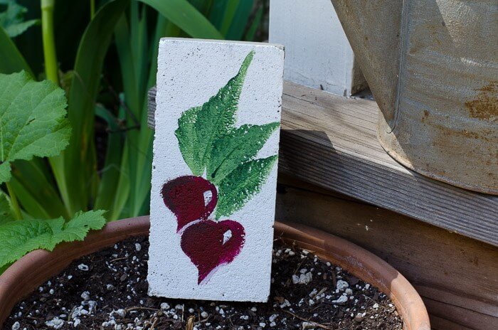 Customized Hand-Painted Garden Markers