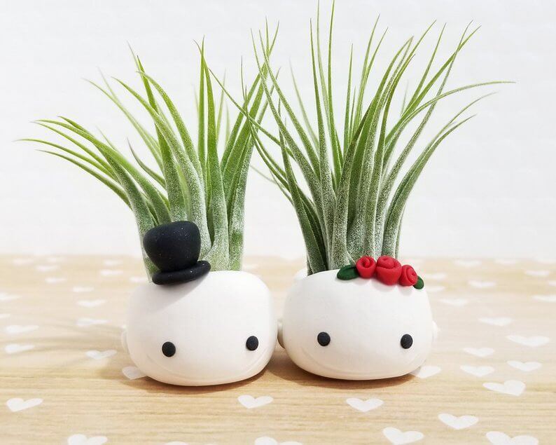 Mr. and Mrs. Whale Planters