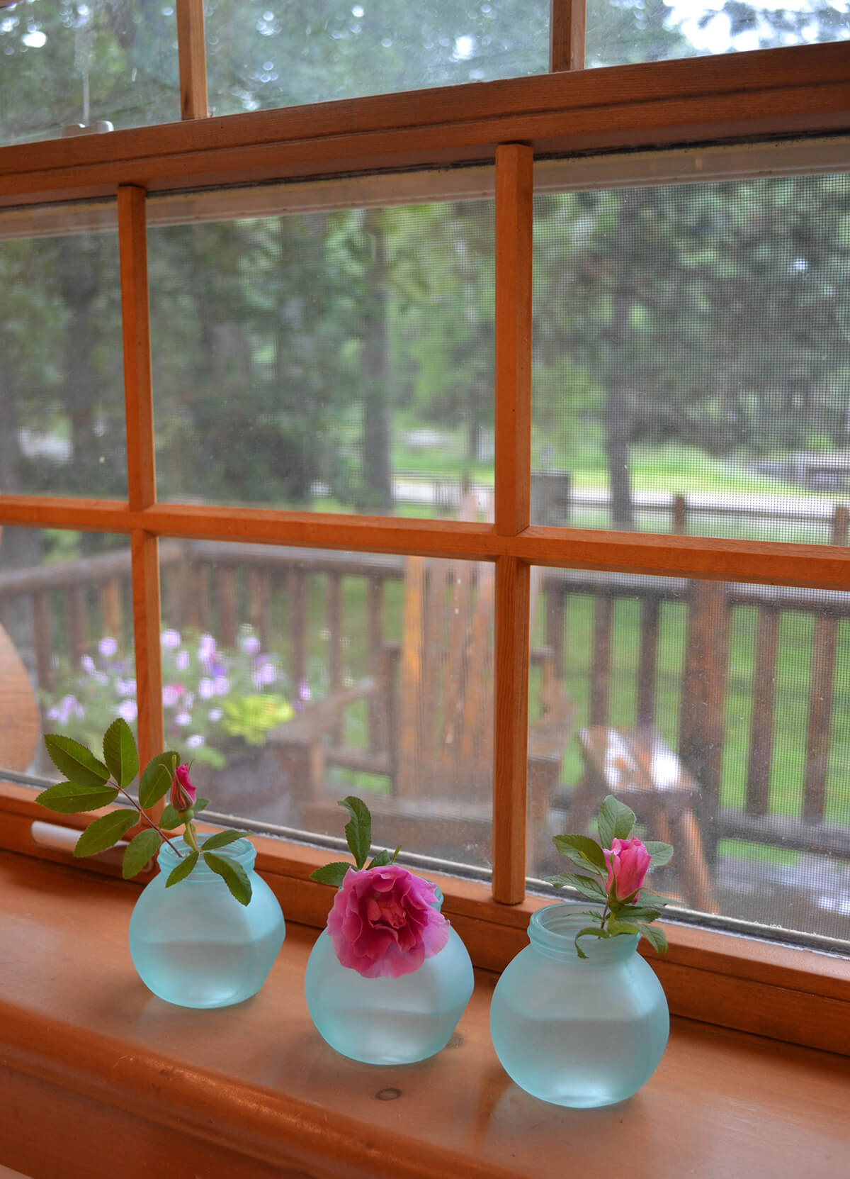 Frosted Mini-Vases for Single Stems