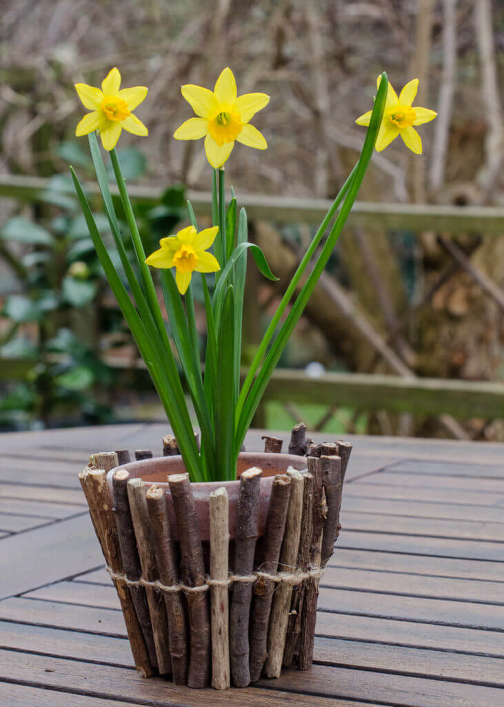 Wrap Your Flower Pots with Natural Elements