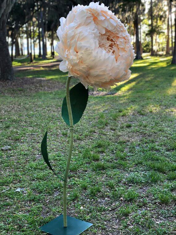 Truly Giant Paper Peony Blossom