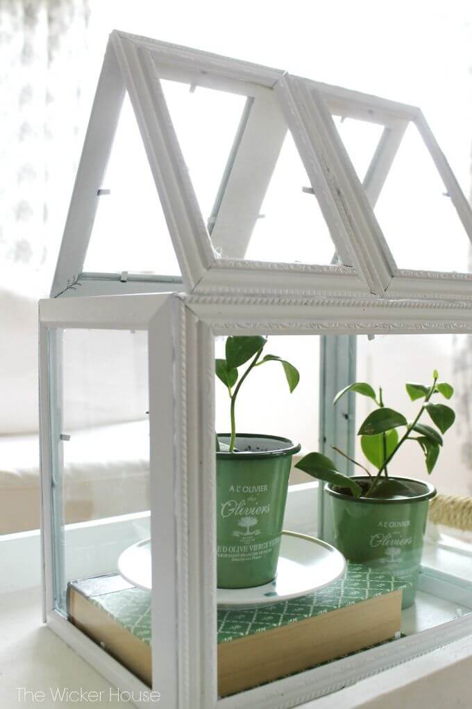 Greenhouse Terrarium with Assorted Picture Frames