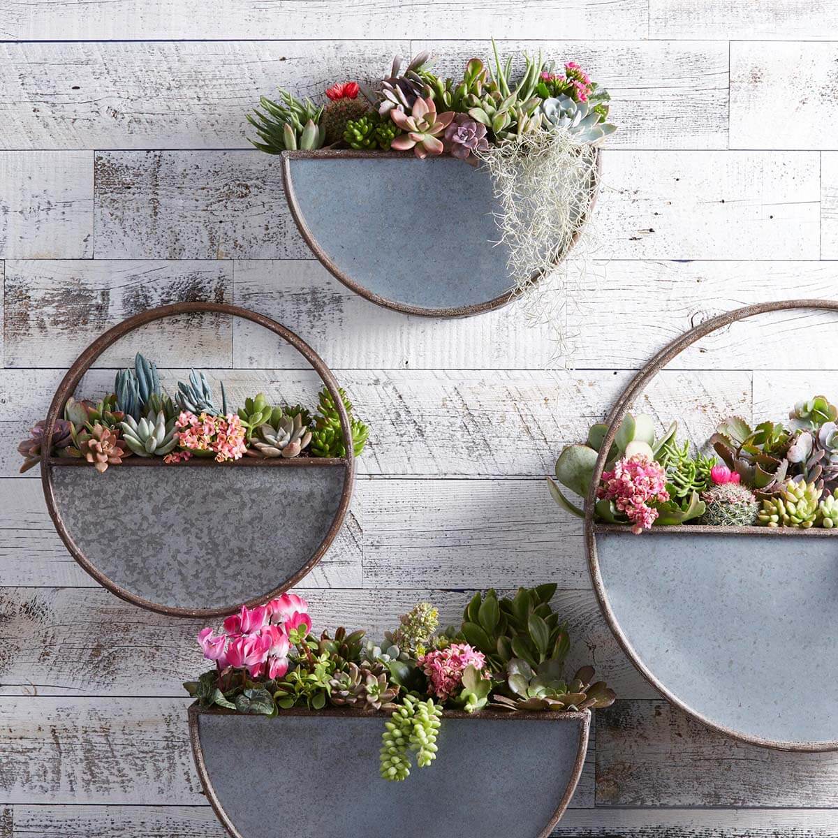 Half Circle Galvanized Metal Wall Planter