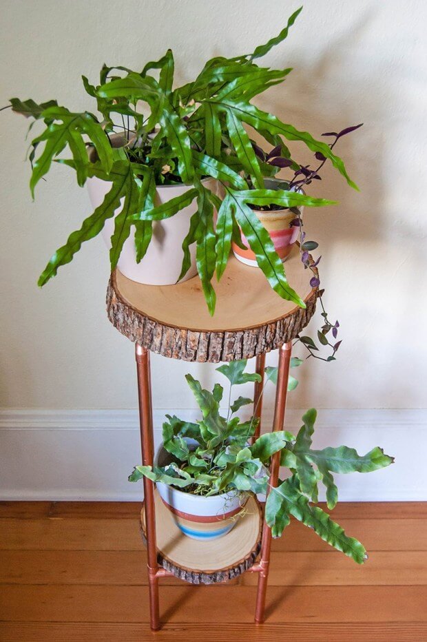 Natural Tree Trunk Table Shelf