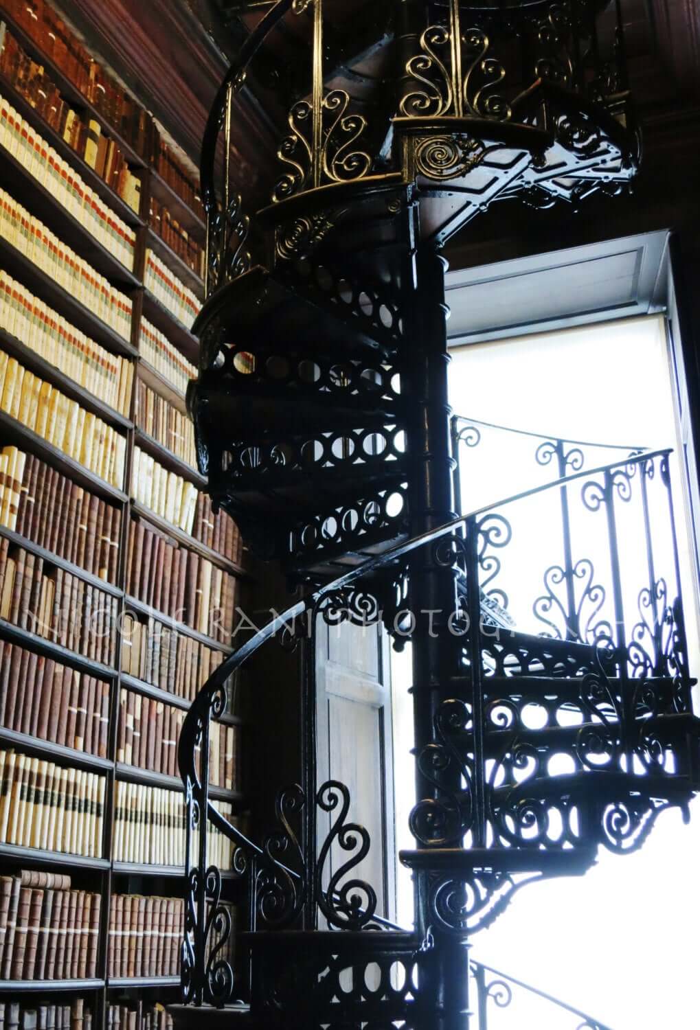 Trinity Library Spiral Staircase Canvas Print